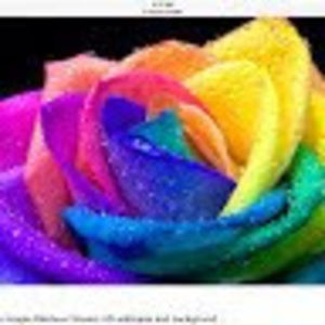 Meet your Posher, Anahi